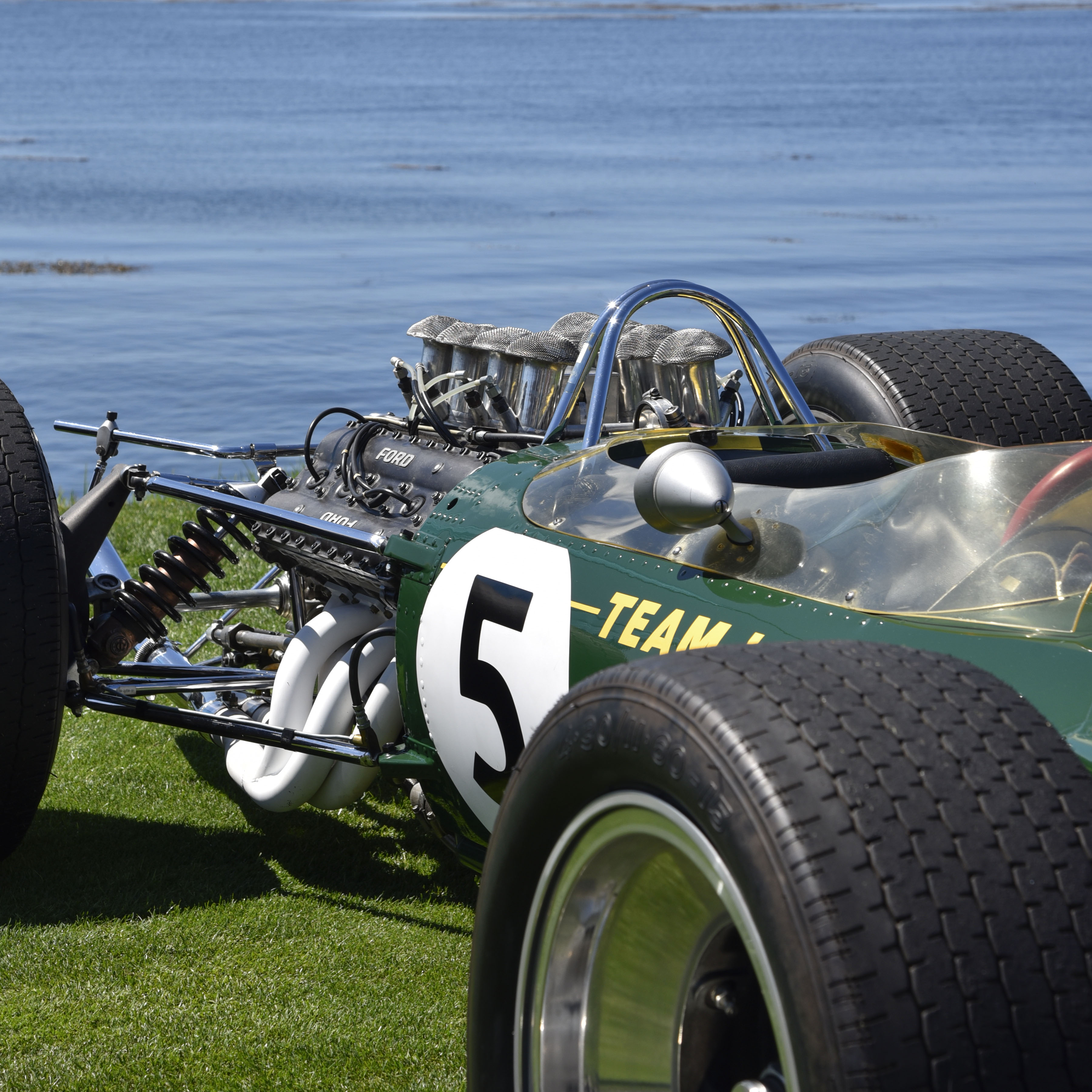 Lotus photograph